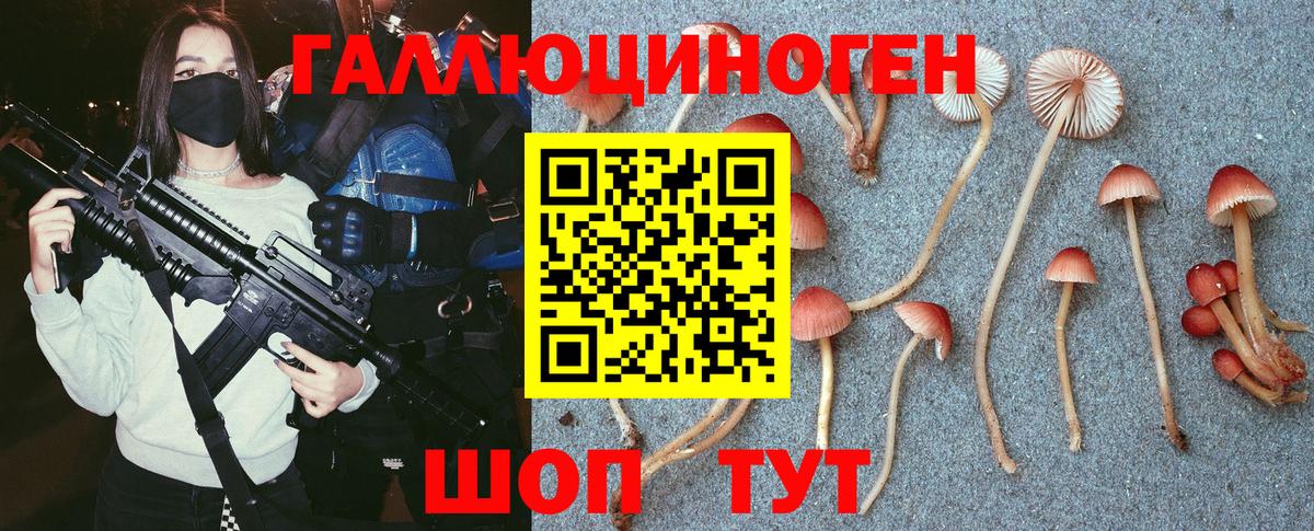 Галлюциногенные грибы мухоморы  Вход с VPN  Галлюциногенные грибы Cubensis  купить наркоту  Новошахтинск 